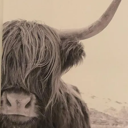 Appartement Bee - Urlaubs Und Business Loft *