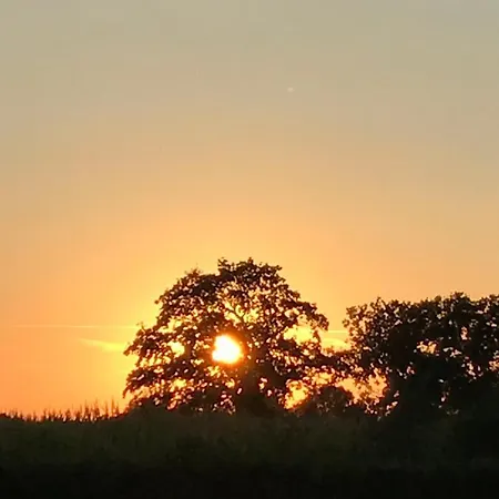 Bee - Urlaubs Und Business Loft Appartement