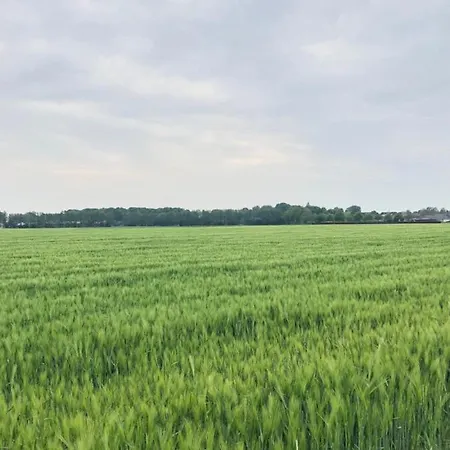 公寓 Bee - Urlaubs Und Business Loft
