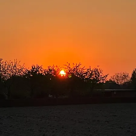 Bee - Urlaubs Und Business Loft Appartement