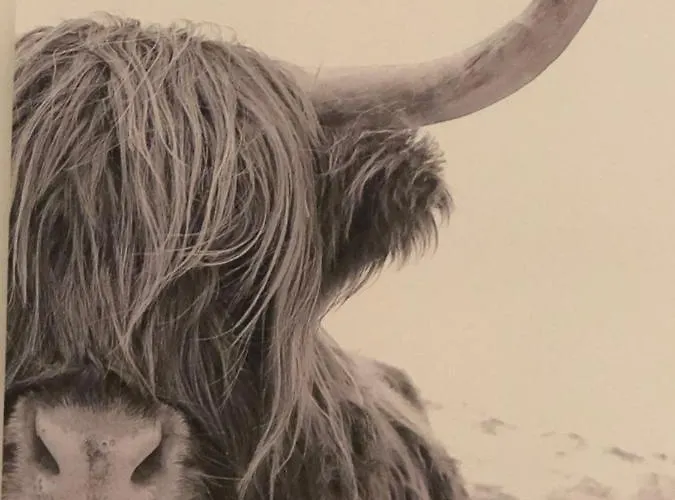 Apartment Bee - Urlaubs Und Business Loft *