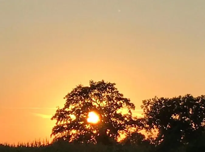 Bee - Urlaubs Und Business Loft Apartment