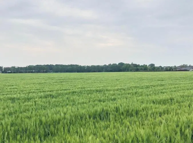 Apartman Bee - Urlaubs Und Business Loft