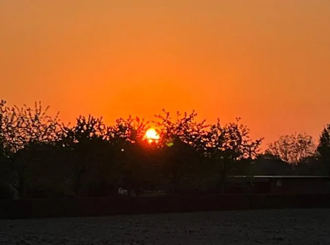 Bee - Urlaubs Und Business Loft Apartment